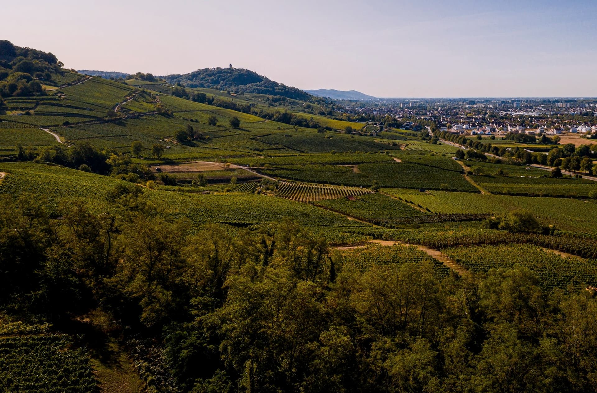 Landschaft und Bebauung in der Region Bergstraße