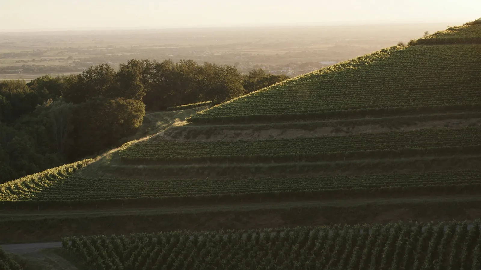 Landschaft und Bebauung in der Region Bergstraße – KI-generiertes Stimmungsbild